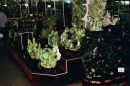 Jade Shop, Beijing